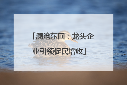 澜沧东回：龙头企业引领促民增收