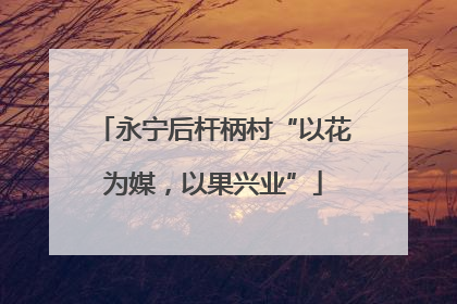 永宁后杆柄村“以花为媒，以果兴业”