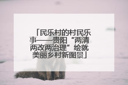 民乐村的村民乐事——贵阳“两清两改两治理”绘就美丽乡村新图景