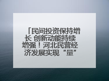 民间投资保持增长 创新动能持续增强！河北民营经济发展实现“量”“质”双提升