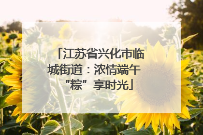 江苏省兴化市临城街道：浓情端午 “粽”享时光