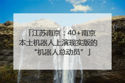 江苏南京：40+南京本土机器人上演现实版的“机器人总动员”