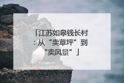 江苏如皋钱长村：从“卖草坪”到“卖风景”