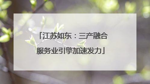 江苏如东：三产融合 服务业引擎加速发力