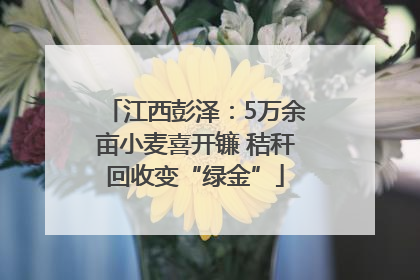 江西彭泽：5万余亩小麦喜开镰 秸秆回收变“绿金”