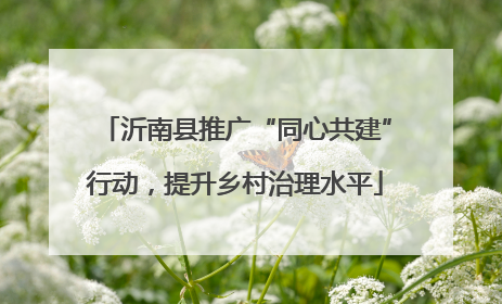 沂南县推广“同心共建”行动，提升乡村治理水平