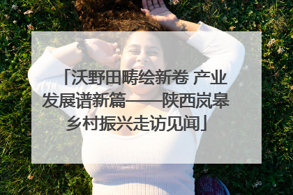沃野田畴绘新卷 产业发展谱新篇——陕西岚皋乡村振兴走访见闻