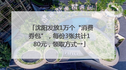 沈阳发放1万个“消费券包”,每份3张共计180元,领取方式→