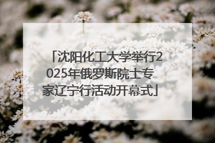 沈阳化工大学举行2025年俄罗斯院士专家辽宁行活动开幕式