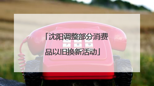 沈阳调整部分消费品以旧换新活动