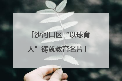 沙河口区“以球育人”铸就教育名片