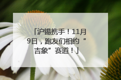 沪锡携手！11月9日，跑友们相约“吉象”赛道！