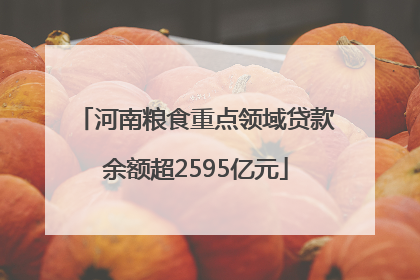 河南粮食重点领域贷款余额超2595亿元