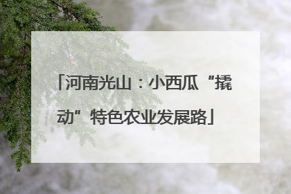 河南光山：小西瓜“撬动”特色农业发展路