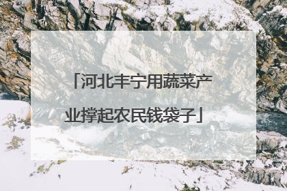 河北丰宁用蔬菜产业撑起农民钱袋子