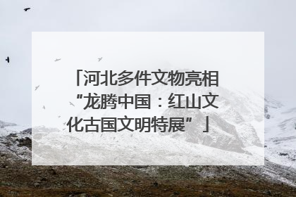 河北多件文物亮相“龙腾中国：红山文化古国文明特展”