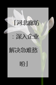 河北廊坊：深入企业解决急难愁盼