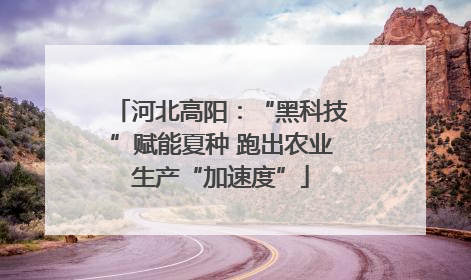 河北高阳：“黑科技”赋能夏种 跑出农业生产“加速度”