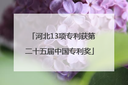 河北13项专利获第二十五届中国专利奖