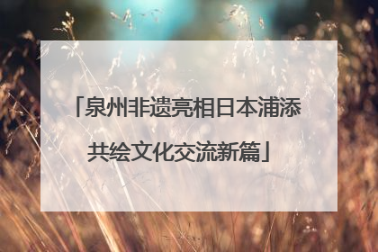 泉州非遗亮相日本浦添 共绘文化交流新篇