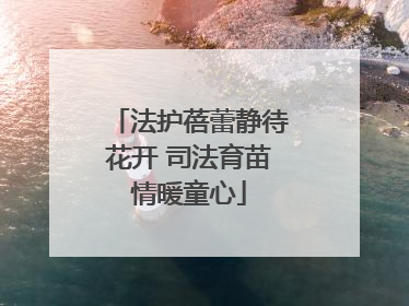 法护蓓蕾静待花开 司法育苗情暖童心
