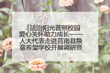 法治阳光普照校园 爱心关怀助力成长——人大代表走进莒南县焕章希望学校开展调研暨普法宣传活动