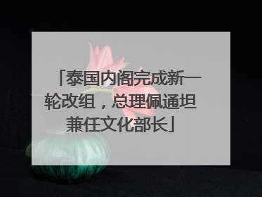 泰国内阁完成新一轮改组，总理佩通坦兼任文化部长