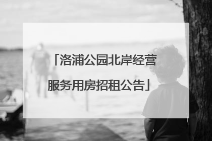 洛浦公园北岸经营服务用房招租公告