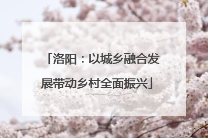 洛阳：以城乡融合发展带动乡村全面振兴