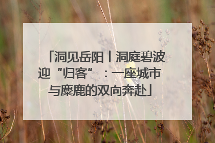 洞见岳阳丨洞庭碧波迎“归客”：一座城市与麋鹿的双向奔赴