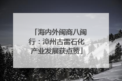 海内外闽商八闽行：漳州古雷石化产业发展获点赞
