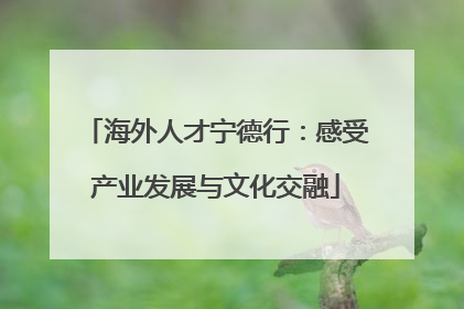 海外人才宁德行：感受产业发展与文化交融