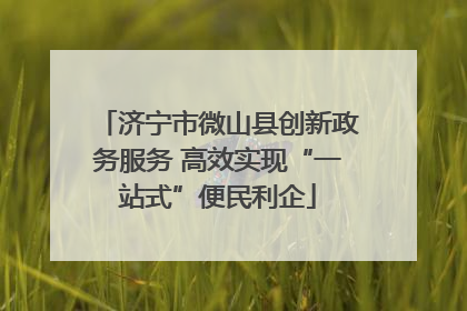 济宁市微山县创新政务服务 高效实现“一站式”便民利企
