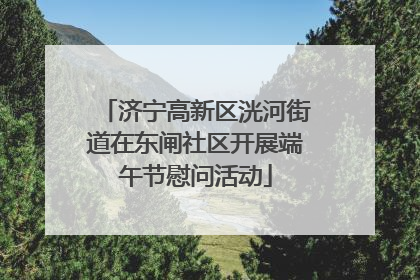 济宁高新区洸河街道在东闸社区开展端午节慰问活动