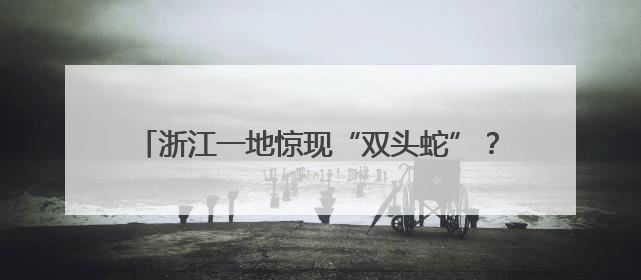浙江一地惊现“双头蛇”？！村民吓懵：还会倒着爬