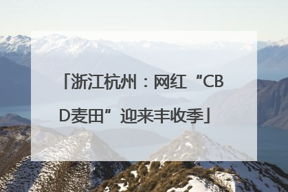 浙江杭州：网红“CBD麦田”迎来丰收季