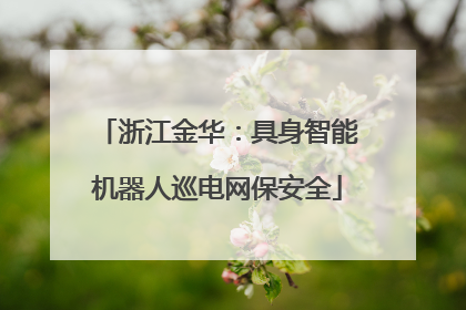 浙江金华：具身智能机器人巡电网保安全