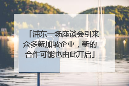 浦东一场座谈会引来众多新加坡企业，新的合作可能也由此开启