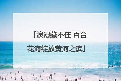 浪漫藏不住 百合花海绽放黄河之滨
