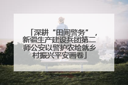 深耕“田间警务”，新疆生产建设兵团第二师公安以警护农绘就乡村振兴平安画卷