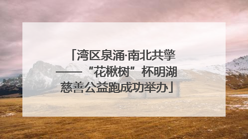 湾区泉涌·南北共擎——“花楸树”杯明湖慈善公益跑成功举办