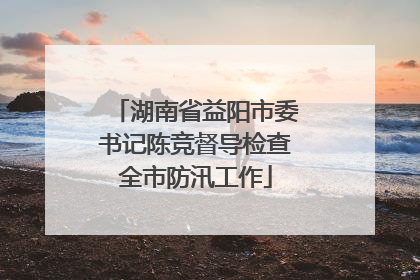 湖南省益阳市委书记陈竞督导检查全市防汛工作