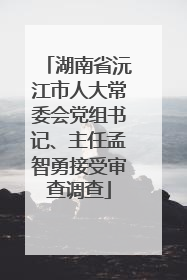 湖南省沅江市人大常委会党组书记、主任孟智勇接受审查调查