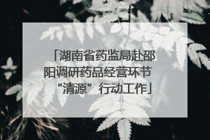 湖南省药监局赴邵阳调研药品经营环节“清源”行动工作