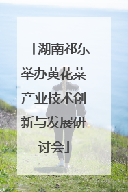 湖南祁东举办黄花菜产业技术创新与发展研讨会