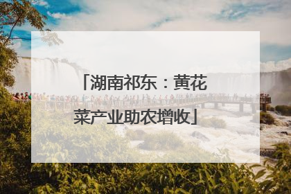 湖南祁东：黄花菜产业助农增收