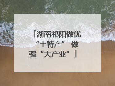 湖南祁阳做优“土特产” 做强“大产业”