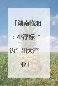 湖南临湘：小浮标“钓”出大产业
