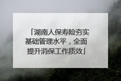 湖南人保寿险夯实基础管理水平，全面提升消保工作质效