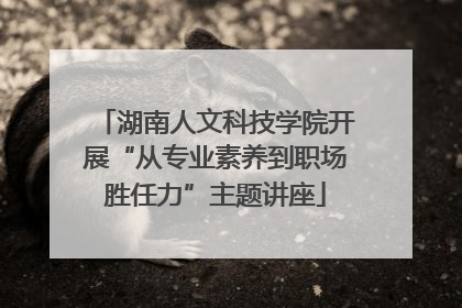 湖南人文科技学院开展“从专业素养到职场胜任力”主题讲座